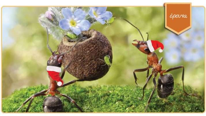 Γενναιοδωρία, γεννιόμαστε με αυτήν ή την αποκτούμε;